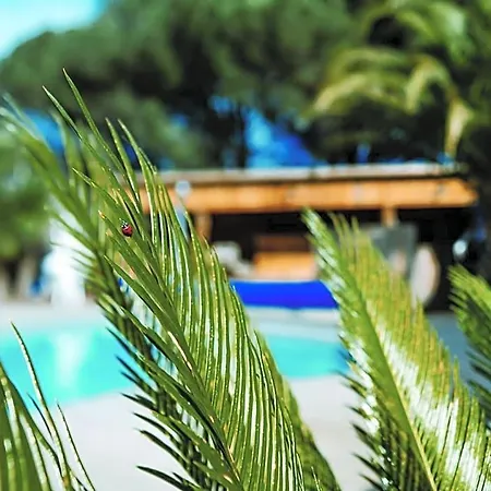 La Belle Landaise 1809 4 Couchages Bed & Breakfast 3*