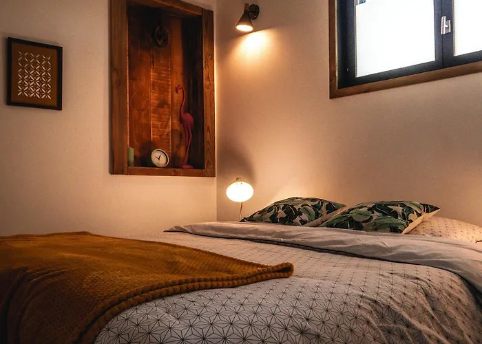 La Belle Landaise 1809 4 Couchages Bed and Breakfast Peyrehorade